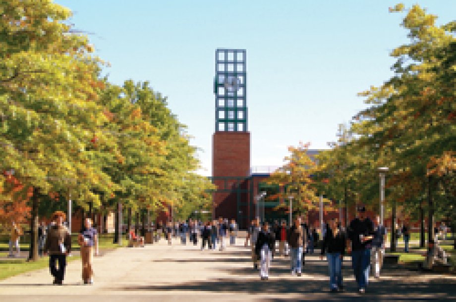 Binghamton University Kampüs Linkleri